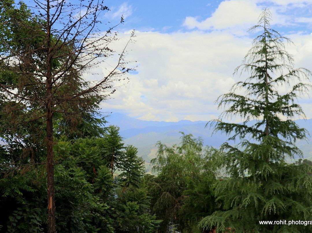 Roseville Cottage主图