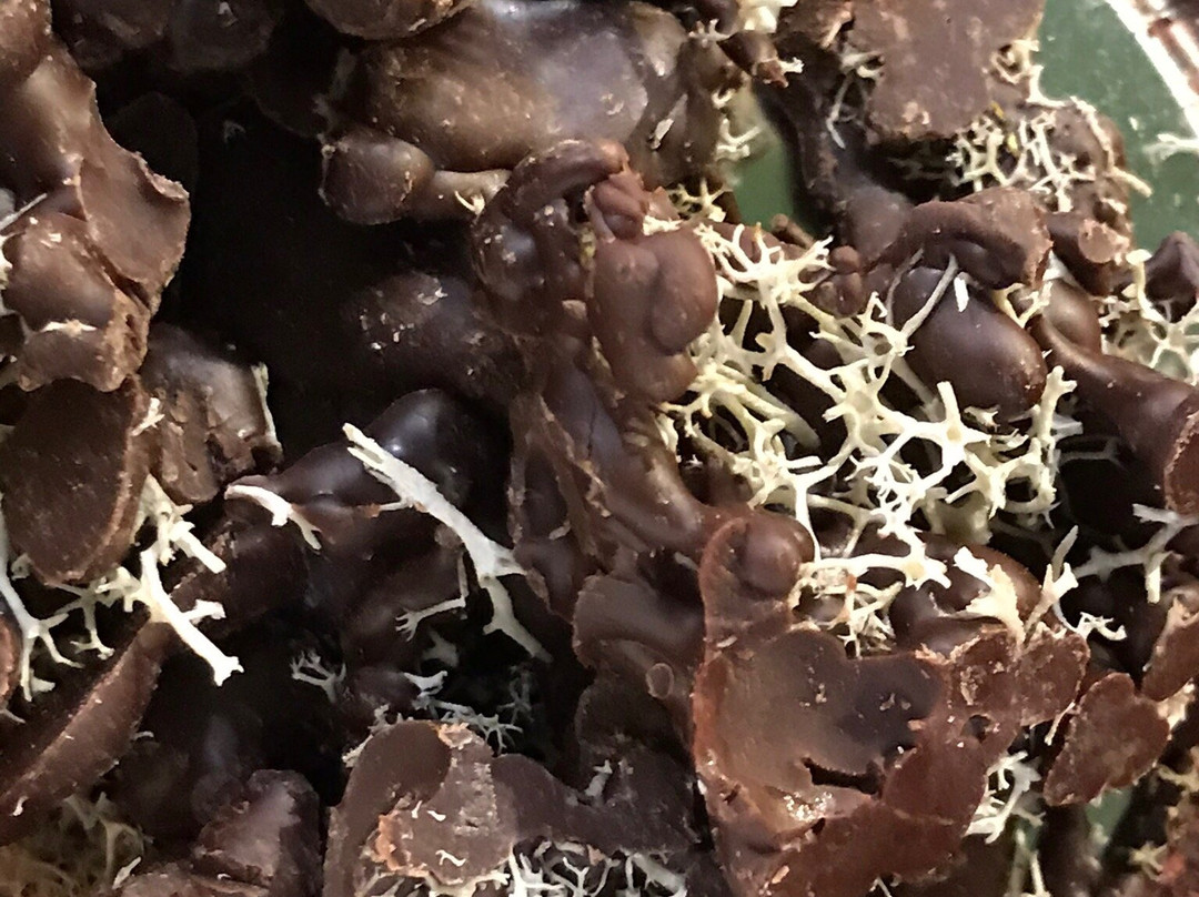 Food Sightseeing Estonia-塔林必去景点