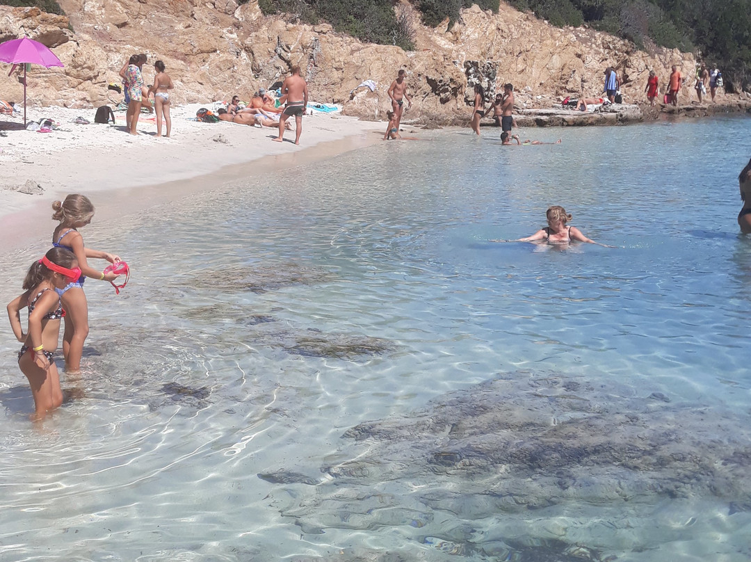 Cala dei Ponzesi-Asinara必去景点