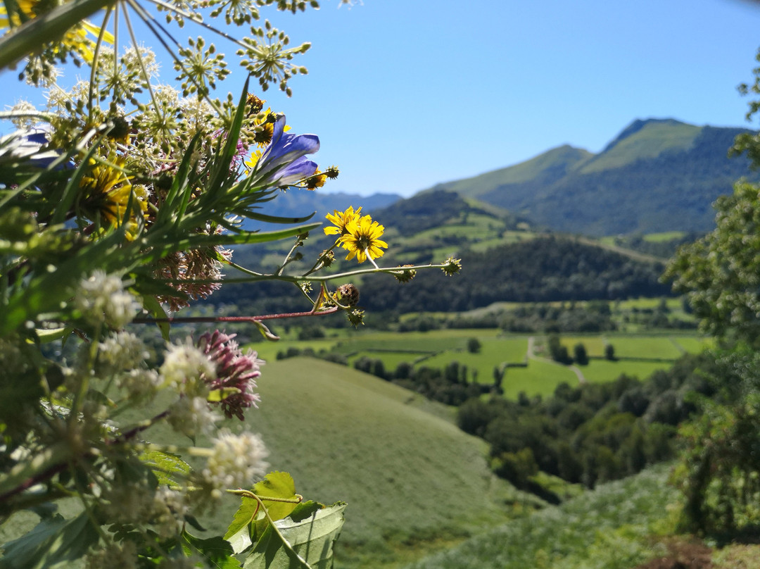 La Ferme Aux Sangliers - Micalet主图