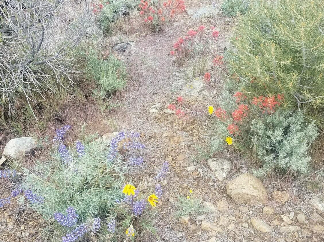 卡森谷旅馆主图