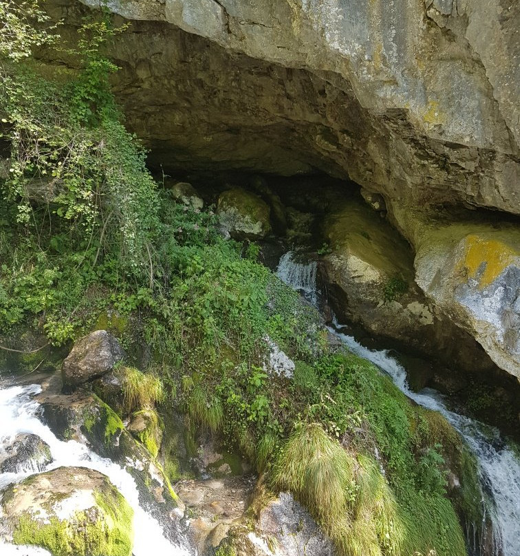 BoscoArteStenico Museo d'Arte nella Natura景点图片