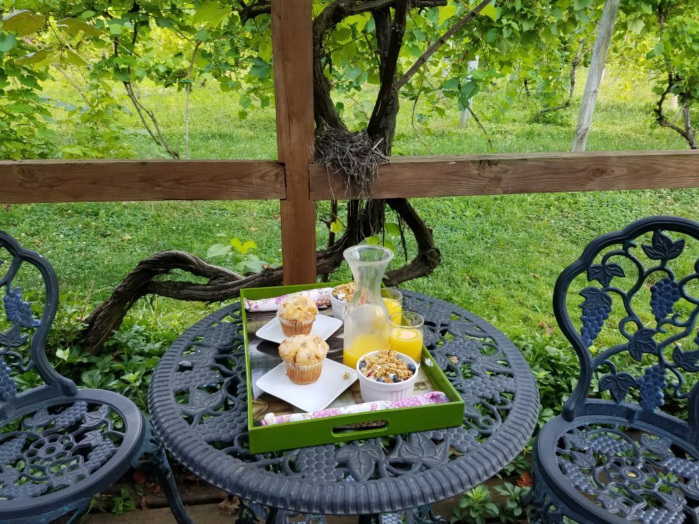 Buccia Vineyards Winery and B & B-官方