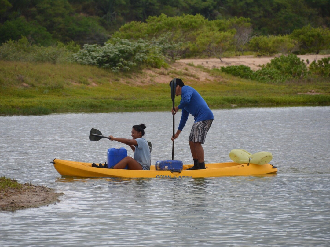 Kawai‘ele Waterbird Sanctuary-科卡哈必去景点