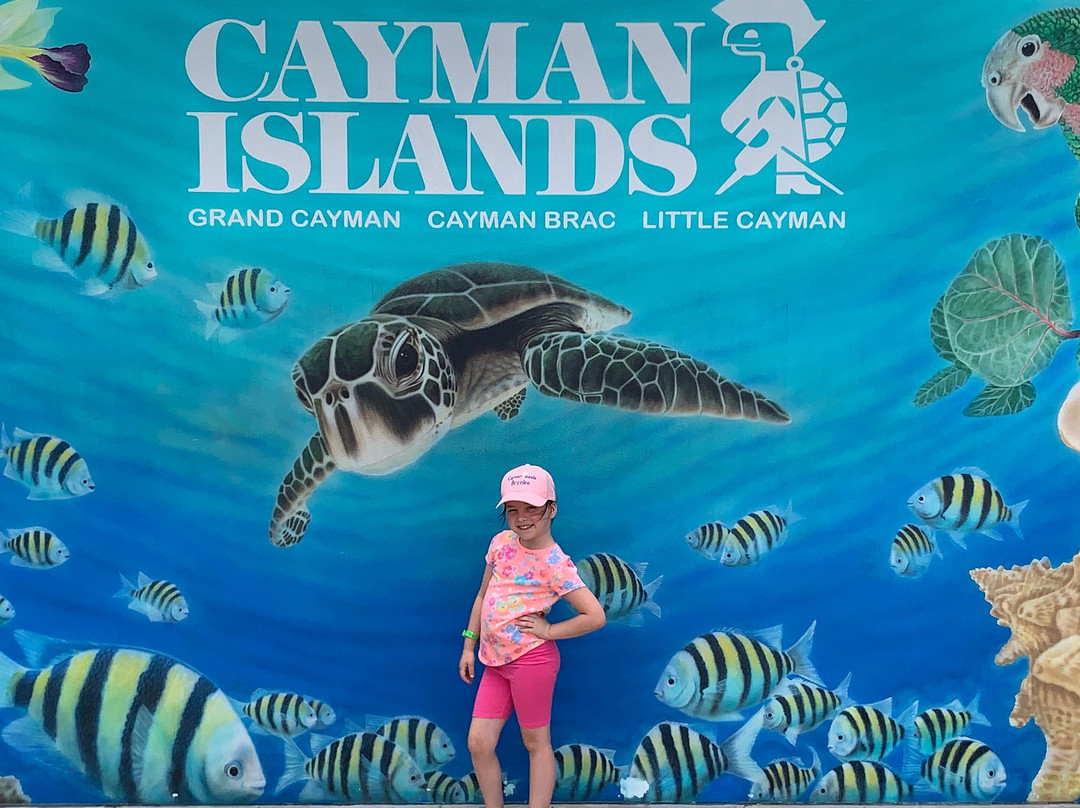 Historic Stepwell-乔治城必去景点