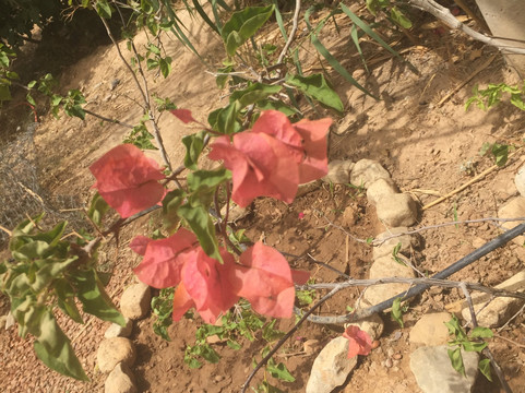Agadir Excursion-阿加迪尔必去景点