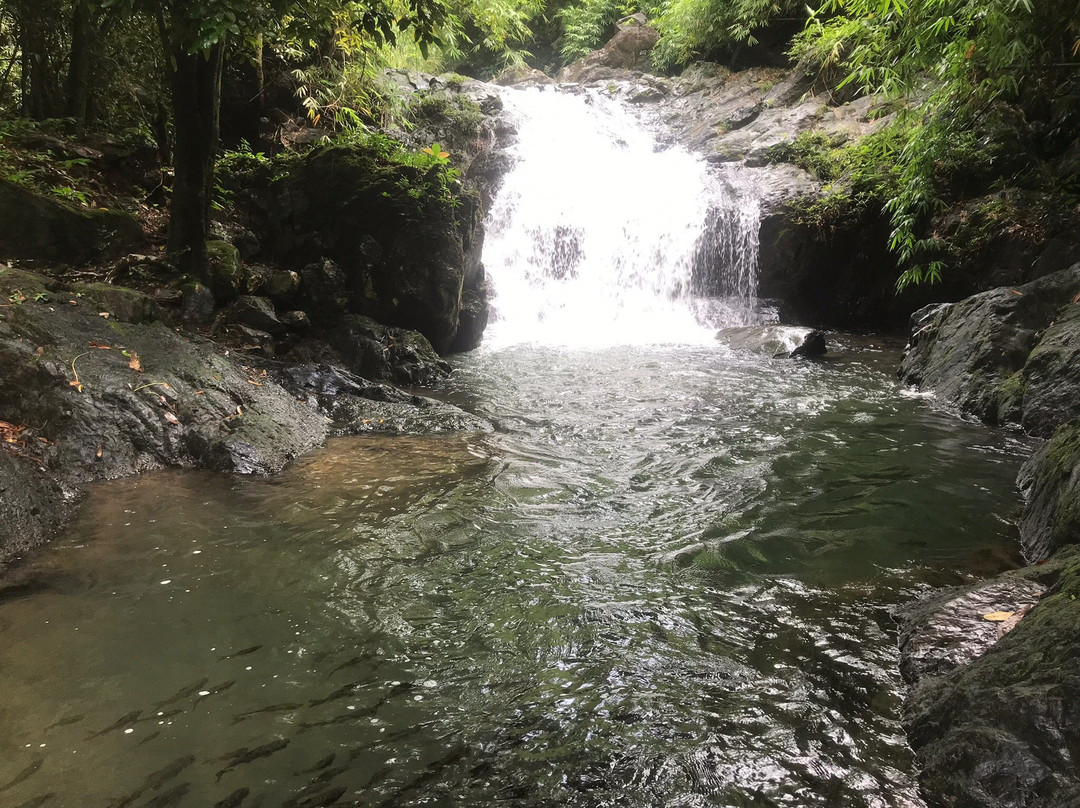 khlong kaeo Waterfall National Park-报莱必去景点