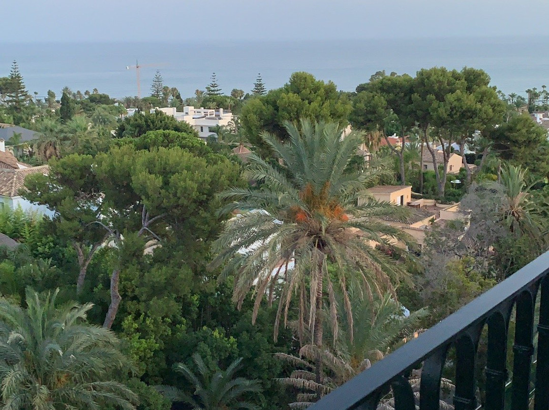 Hotel Los Monteros主图