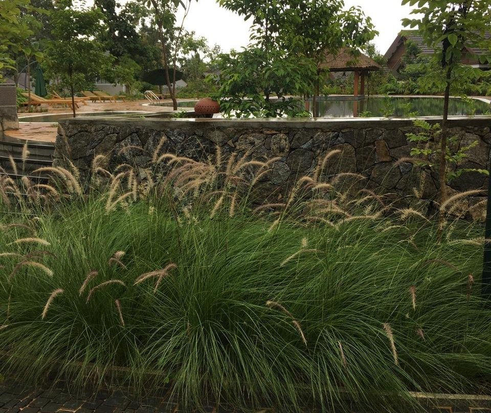 Morickap Resort主图