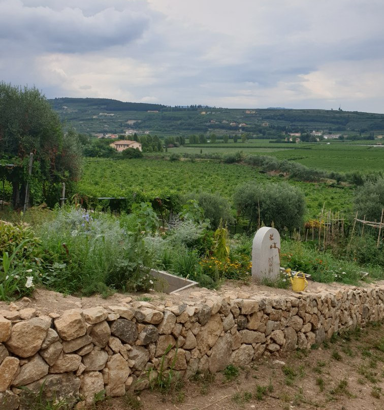 Ugolini Vini景点图片