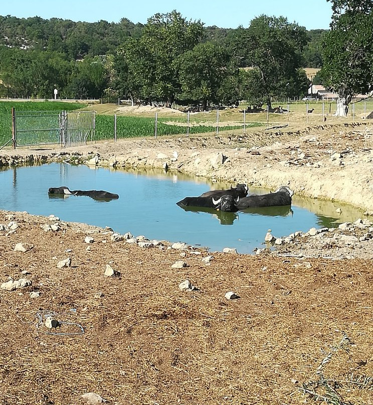 La Ferme Coudert-Vallerargues必去景点