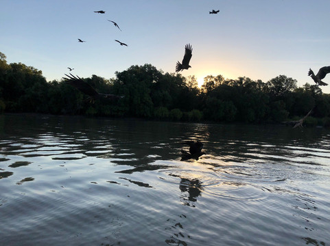 Offroad Dreaming-达尔文市必去景点