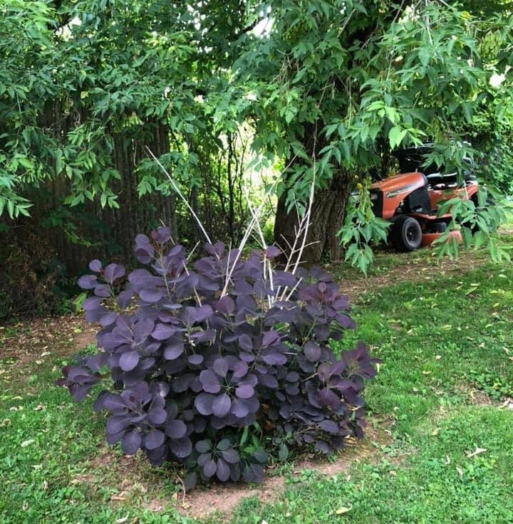 Driftwood Heights B & B主图