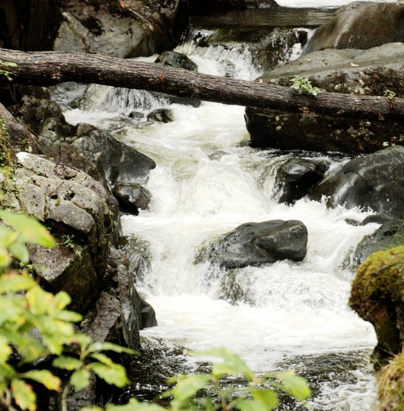 Rhaeadr Ddu Waterfalls景点图片
