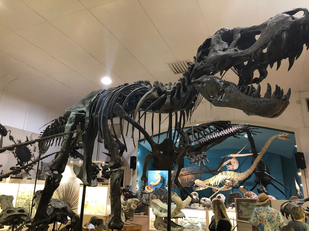 The Museum @ Black Hills Institute景点图片