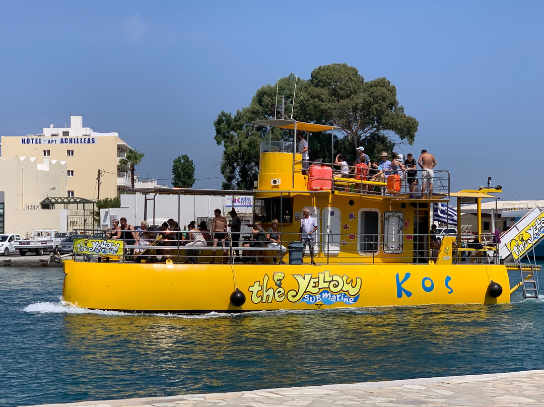 Yellow Submarine Tours-居斯塔维亚必去景点