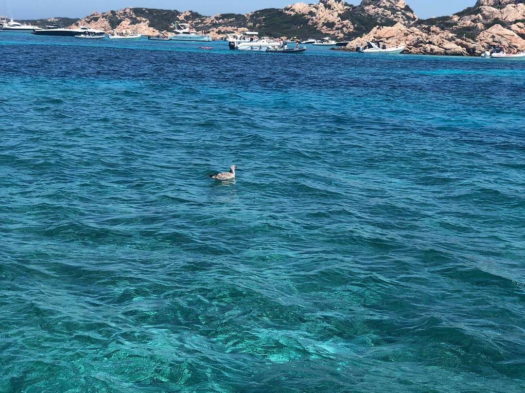 Sardinia Blue Services-Cannigione必去景点