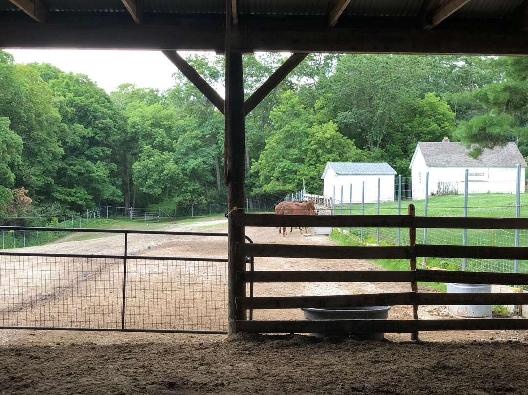 UVM Morgan Horse Farm-Middlebury必去景点