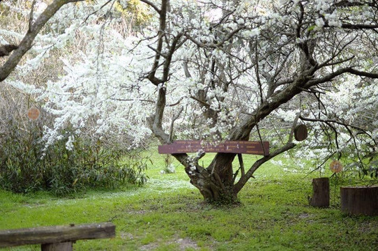 El Paraiso-Carrizales必去景点