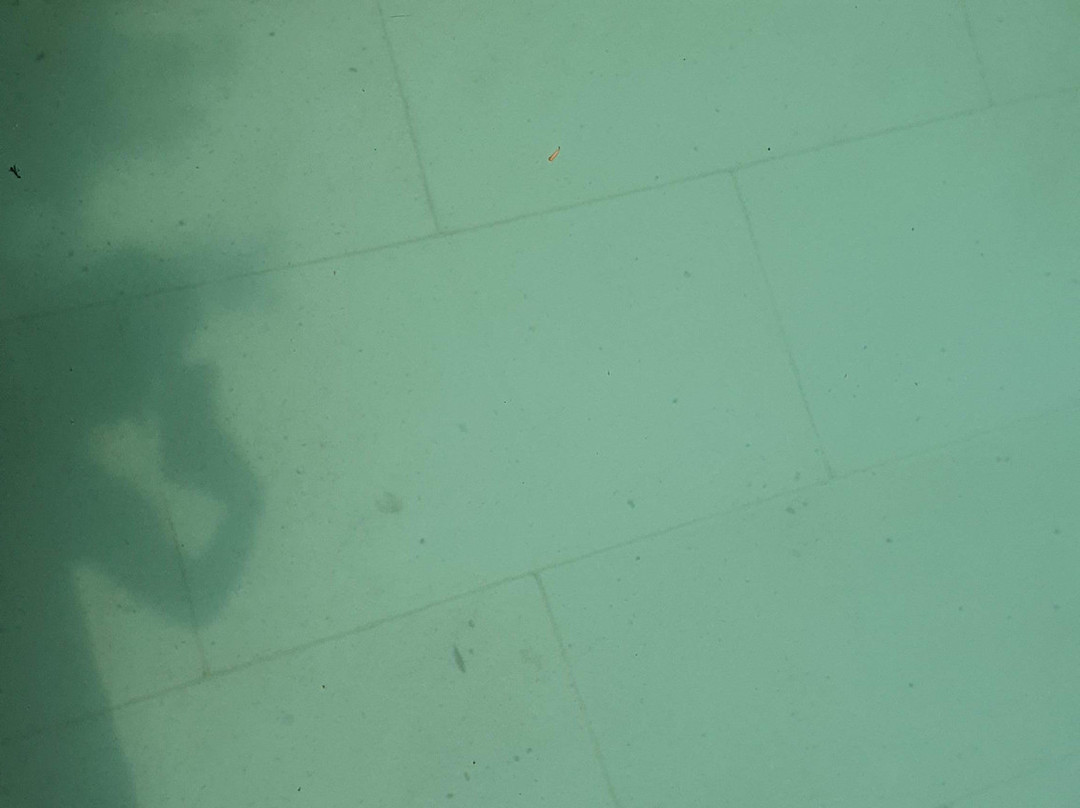 奥利弗斯庄园公寓主图