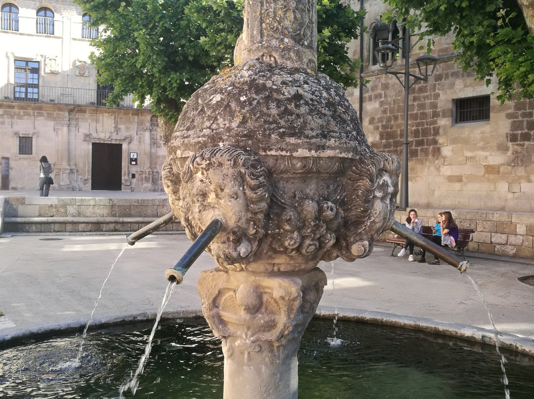 Fuente de los Chorros-Estella必去景点