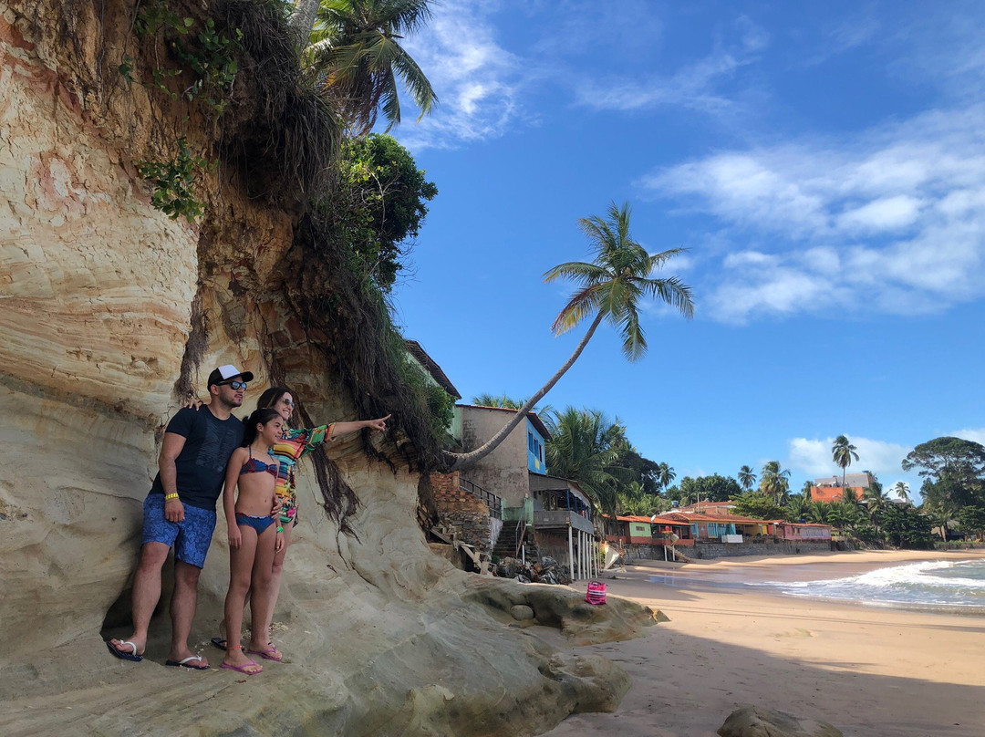 Mota Turismo-Maragogi必去景点