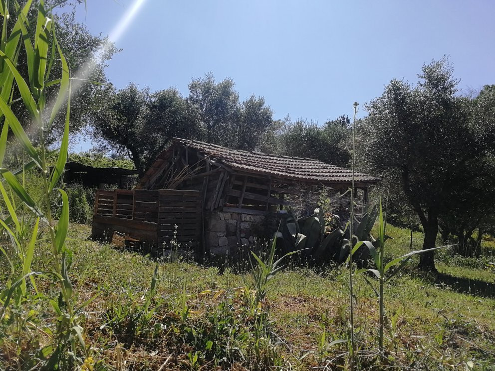 Villa De Luccheri主图