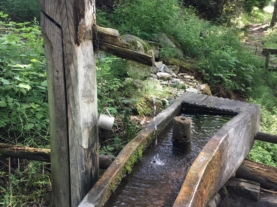 Sentiero della mela-Naz-Sciaves必去景点