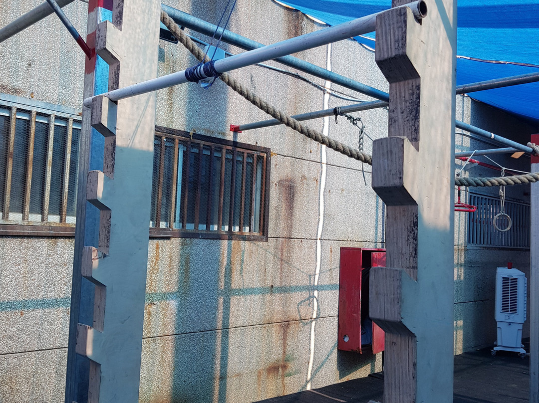 ShachmaTipus-Kiryat Malakhi必去景点