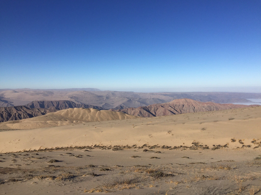 Cerro Blanco-纳斯卡必去景点