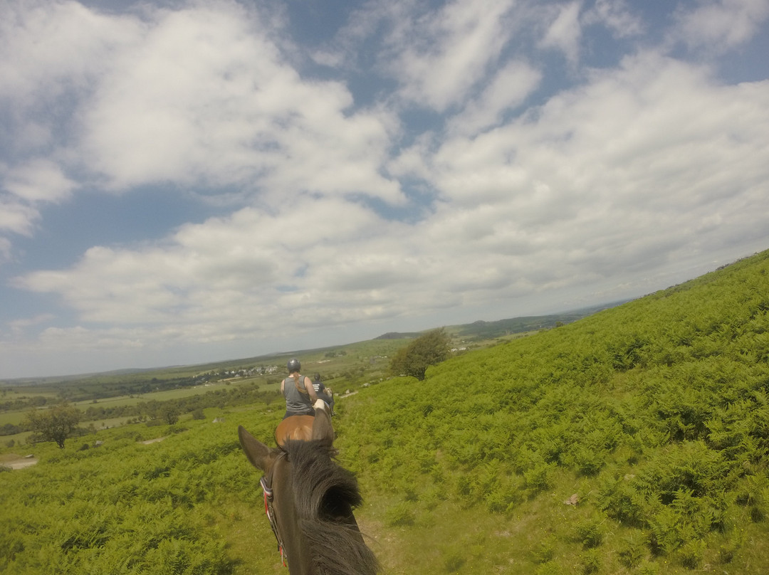 Caradon Hill Trekking and Equestrian Centre-Pensilva必去景点