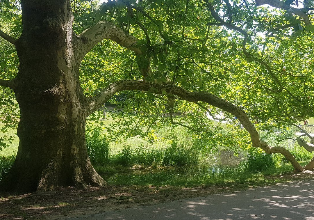 Parc Barbieux-鲁贝必去景点