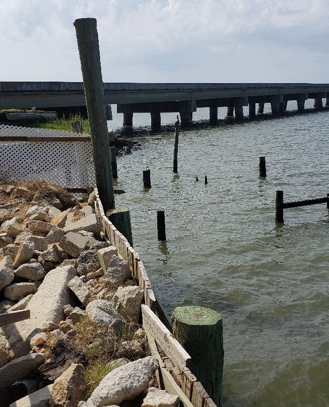 Cedar Point Pier-Coden必去景点