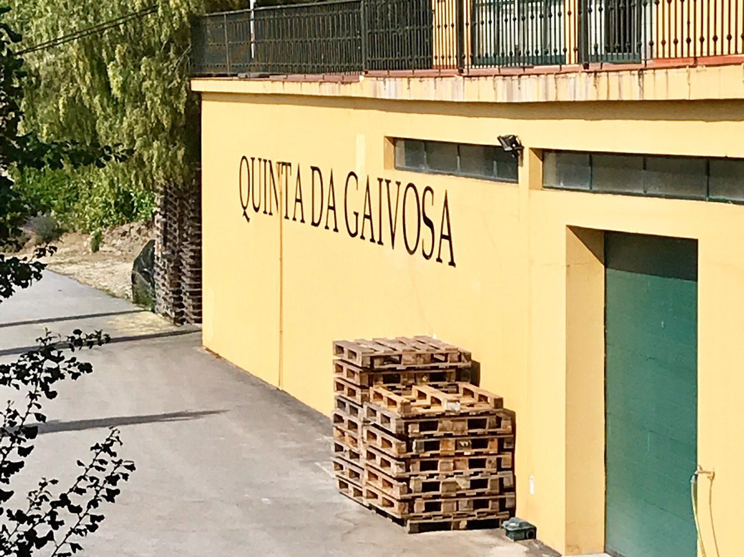 Quinta Da Gaivosa景点图片