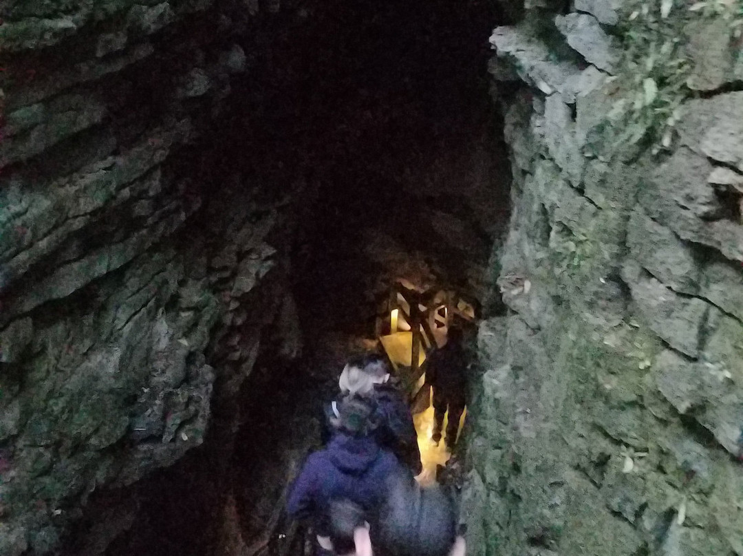 Footwhistle Glowworm Cave景点图片