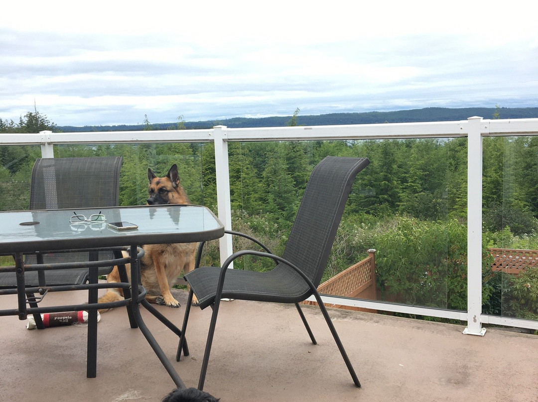 Ocean Comfort Bed and Breakfast主图