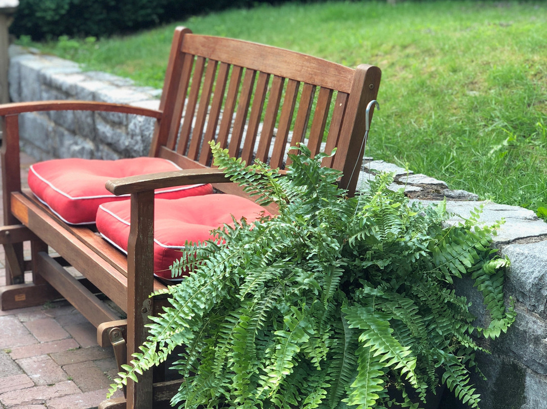 The Outpost Inn主图