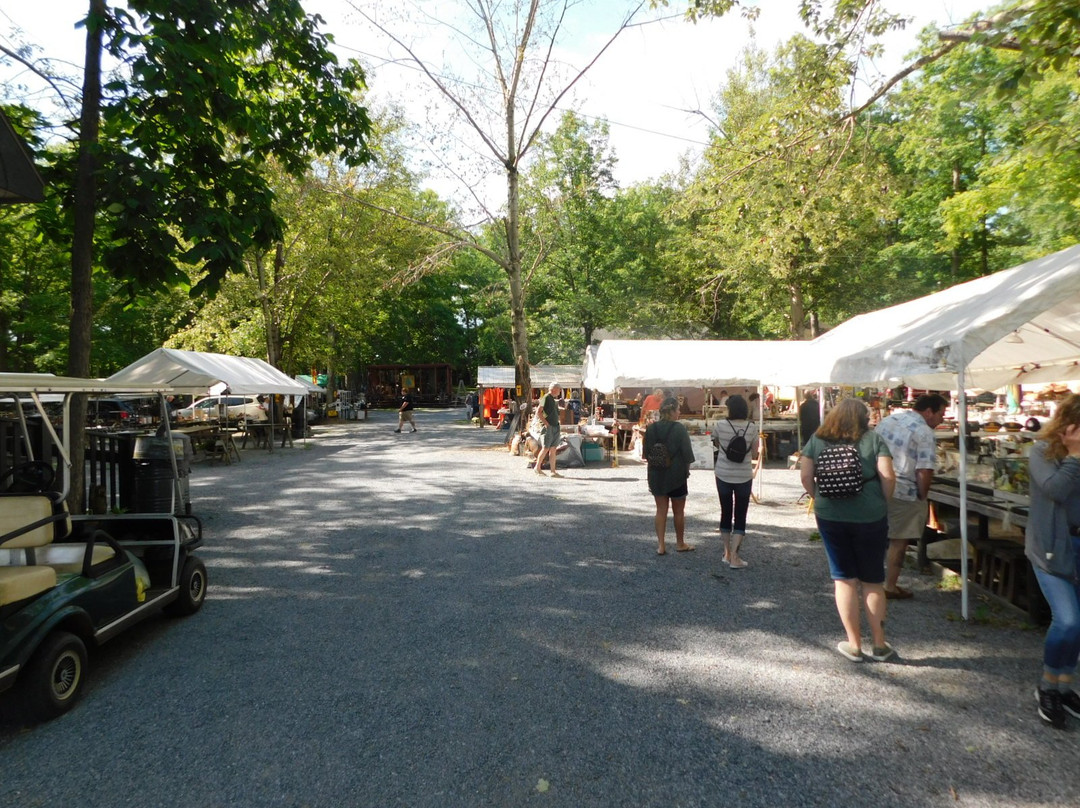 Shupp's Grove Antique Market景点图片
