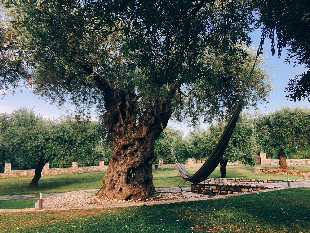 Ipsario Garden Hotel主图