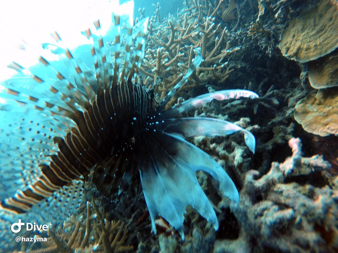 iDiventure-雅加达必去景点