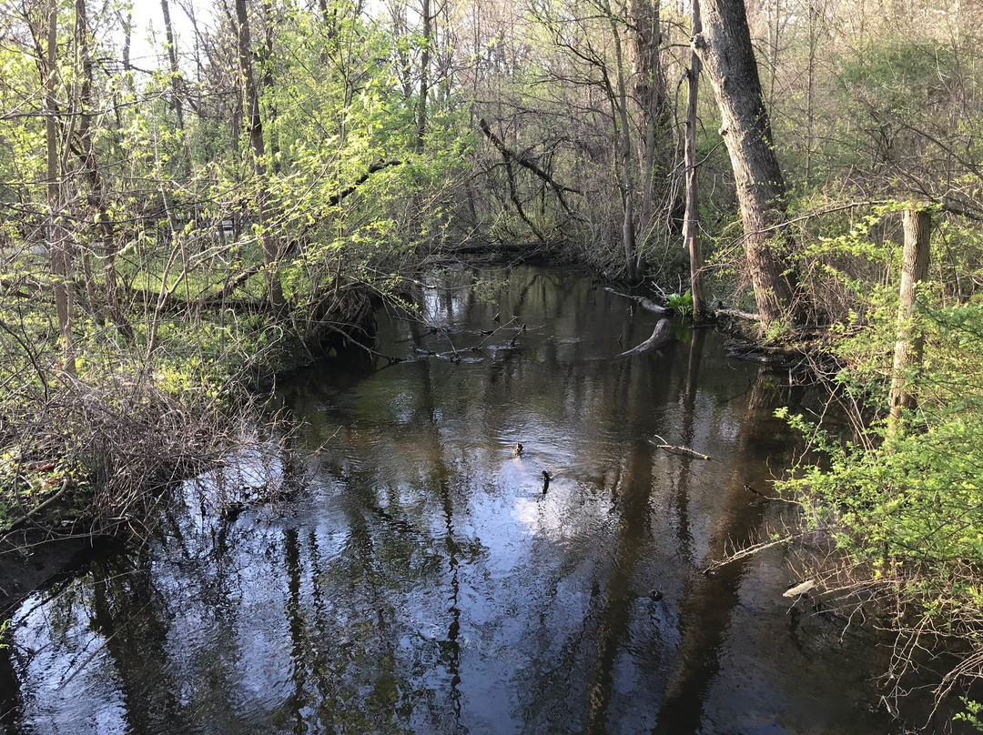 Winona Lake Trails景点图片