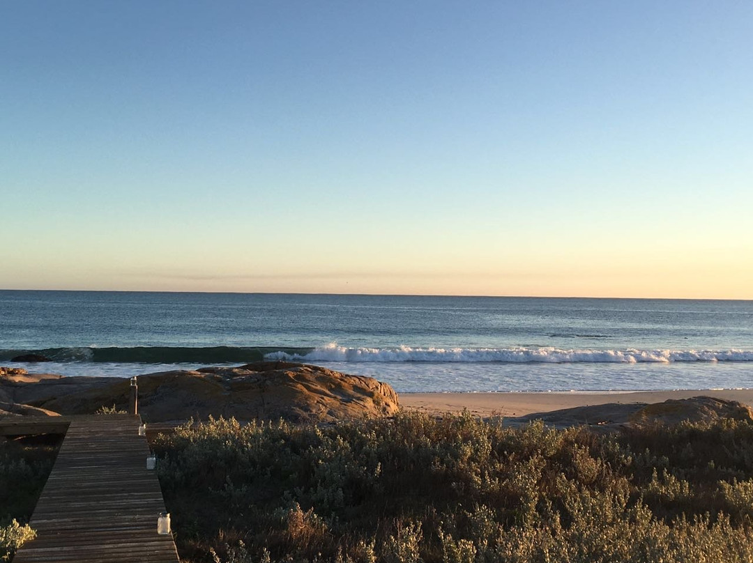 Mussel Cracker主图