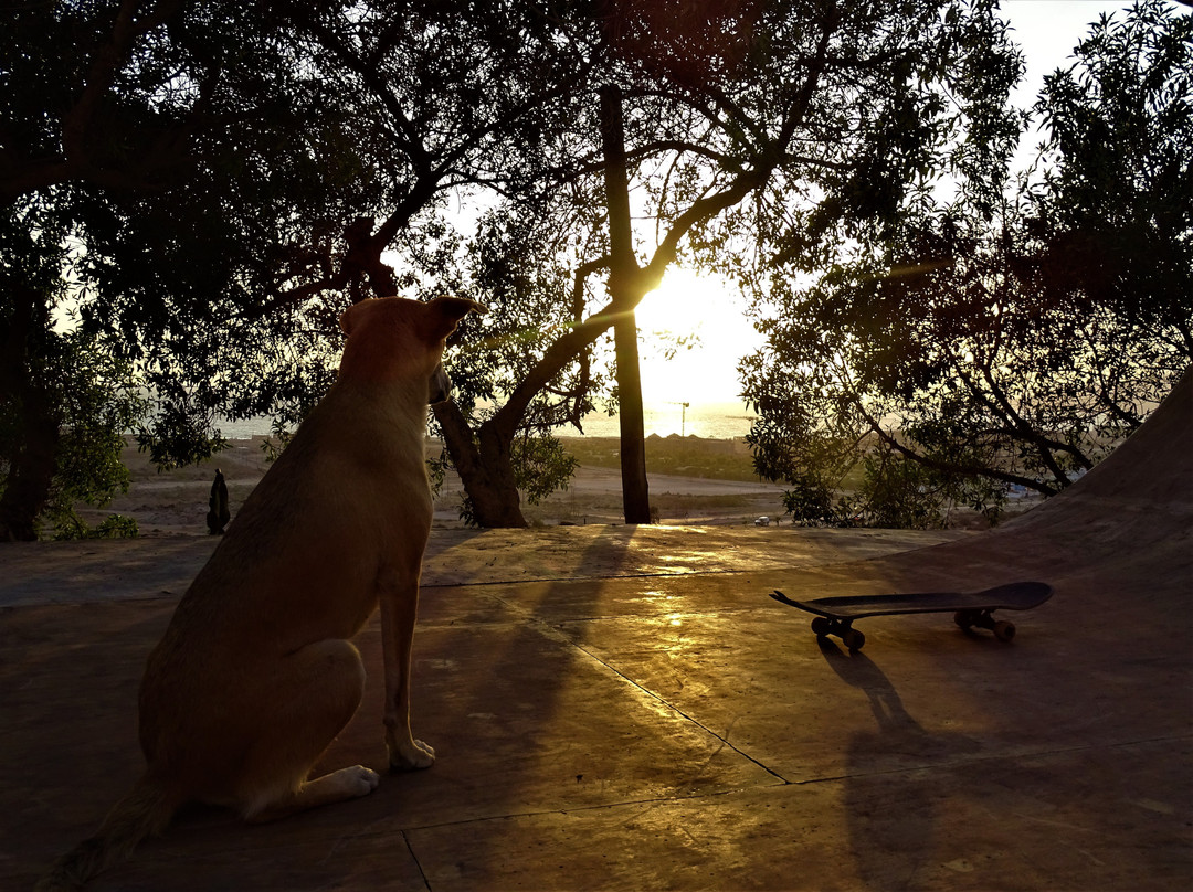 Aloha Surf Camp Maroc主图