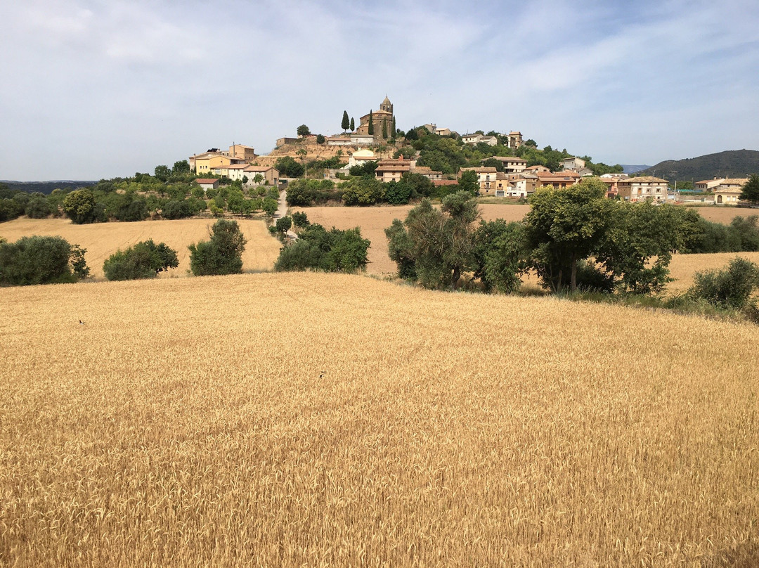 埃拉康特酒店主图