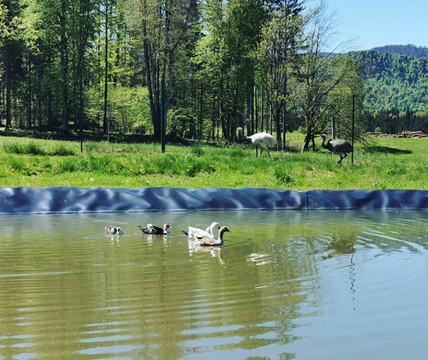 Ranch Marina-Kocevska Reka必去景点