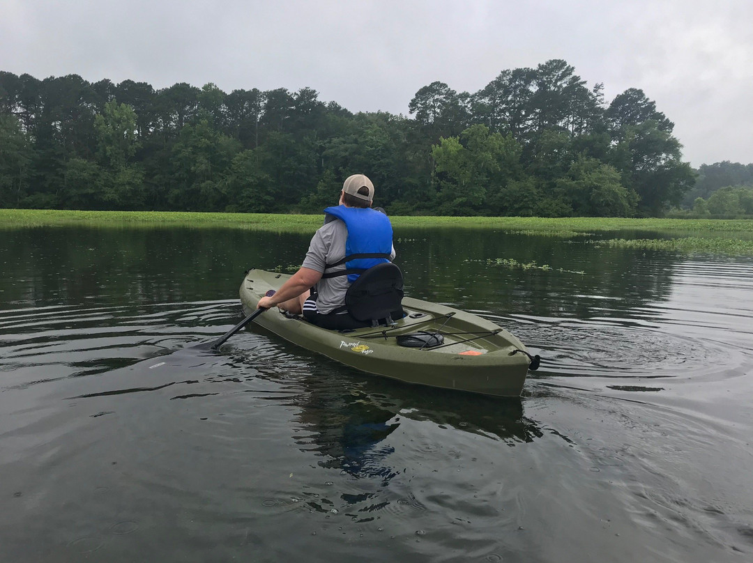 Kayak Lake Guntersville-Guntersville必去景点