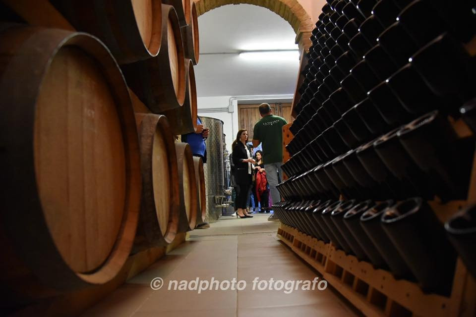 La Vinarte Azienda Agricola-Santa Maria Imbaro必去景点