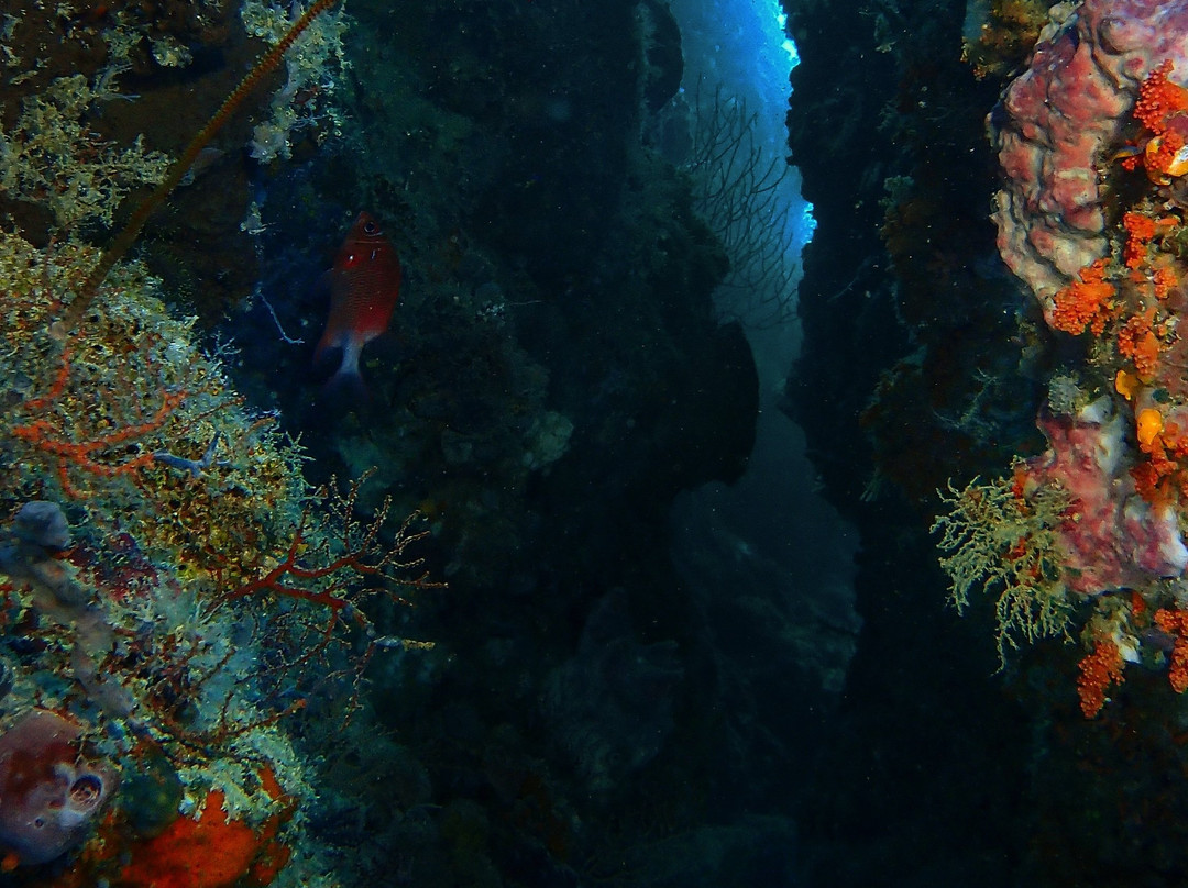 Maumere Dive Journey-Maumere必去景点
