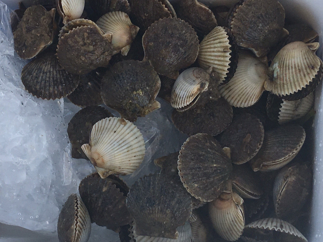 Good Times Motel and Marina主图