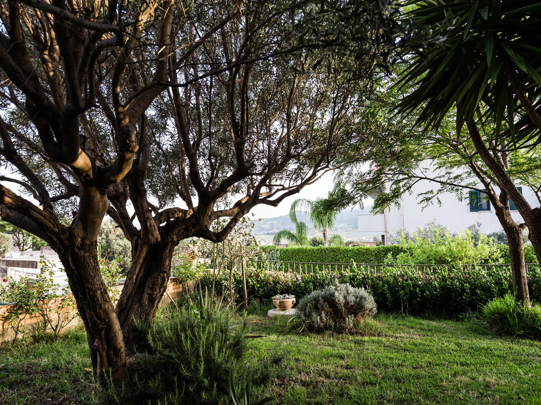 B&b Torre Ancinale Soverato主图